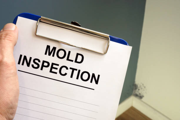 Best Indoor Air Quality Assessment  in Dwight, IL